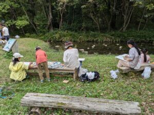 PXL_20241027_023727443